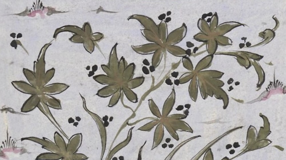 Cannabis in Islamicate Literature and Culture