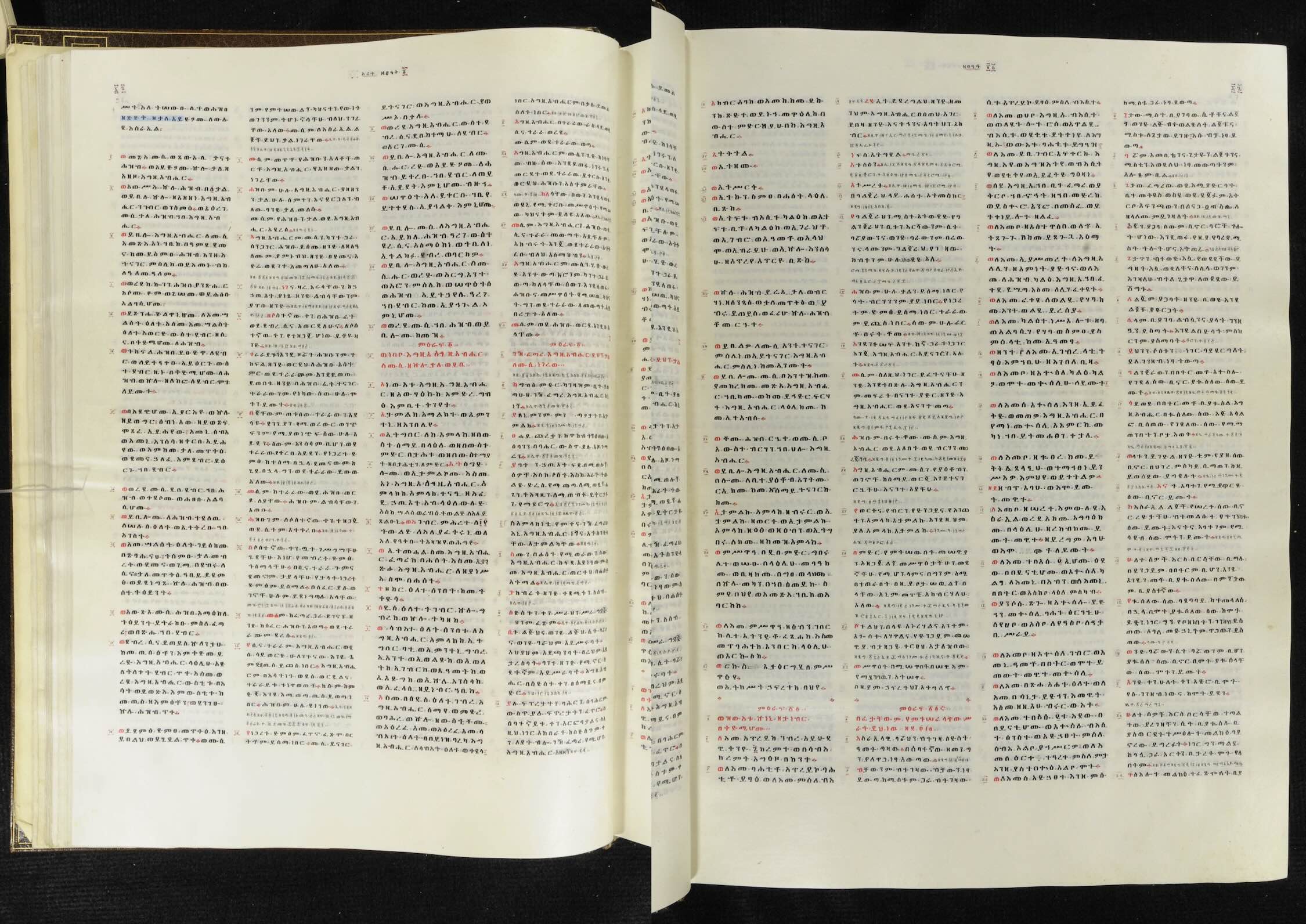 <em>Bible.</em>
