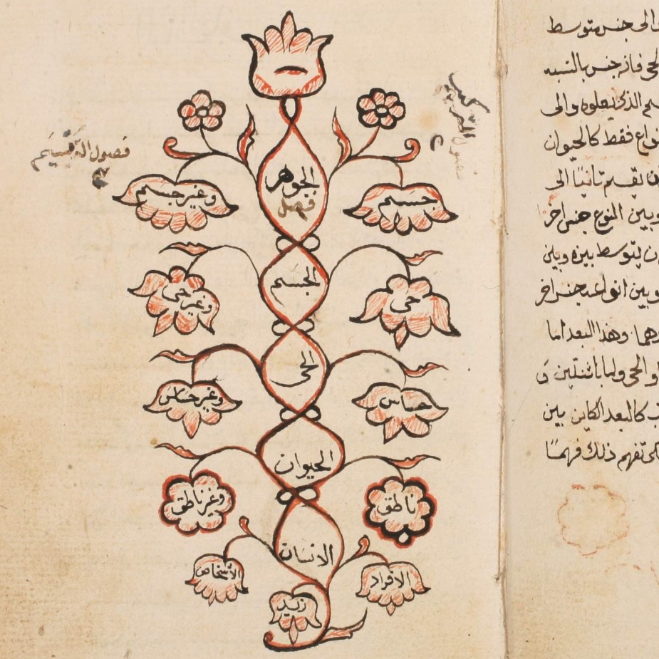 Floral diagram classifying humanity from an Aristotelian perspective (NDU 00262)